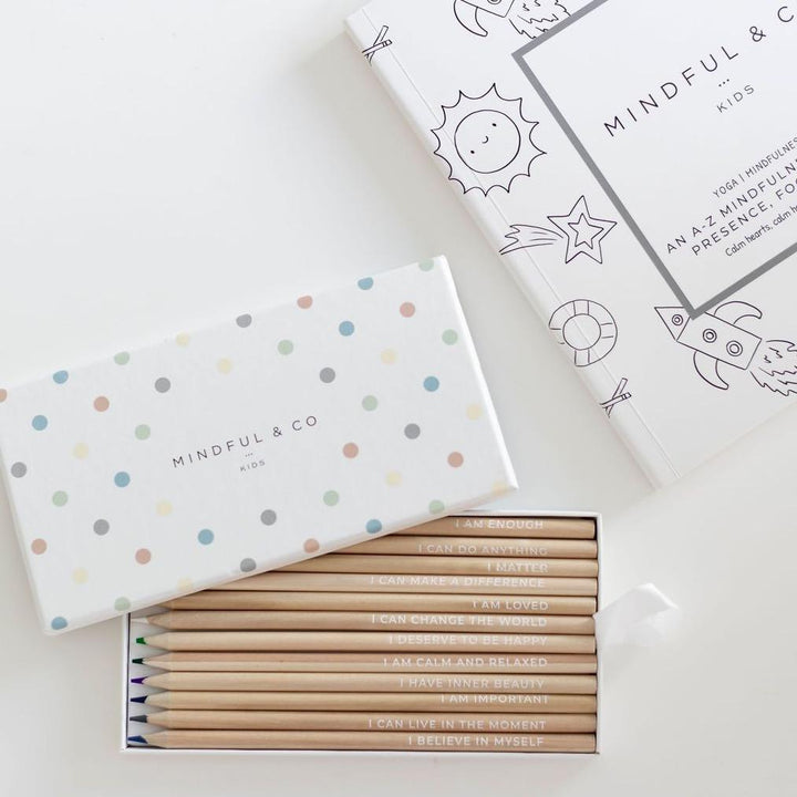mindful co pencils box