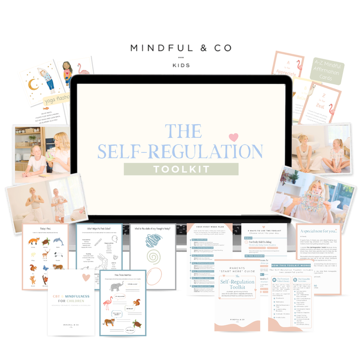 Self-Regulation Toolkit - Digital Program