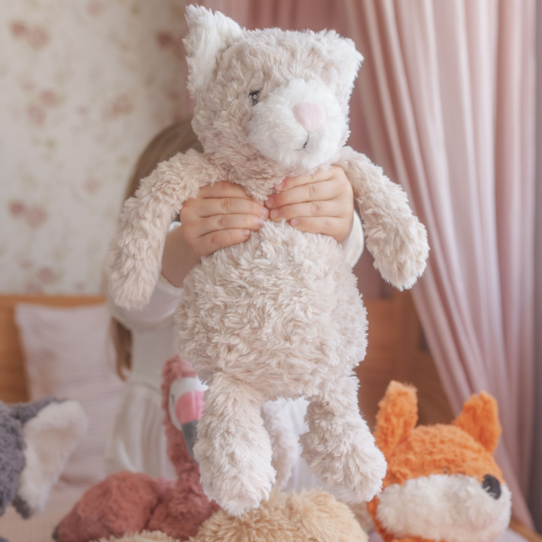 Pickles The Weighted Cat