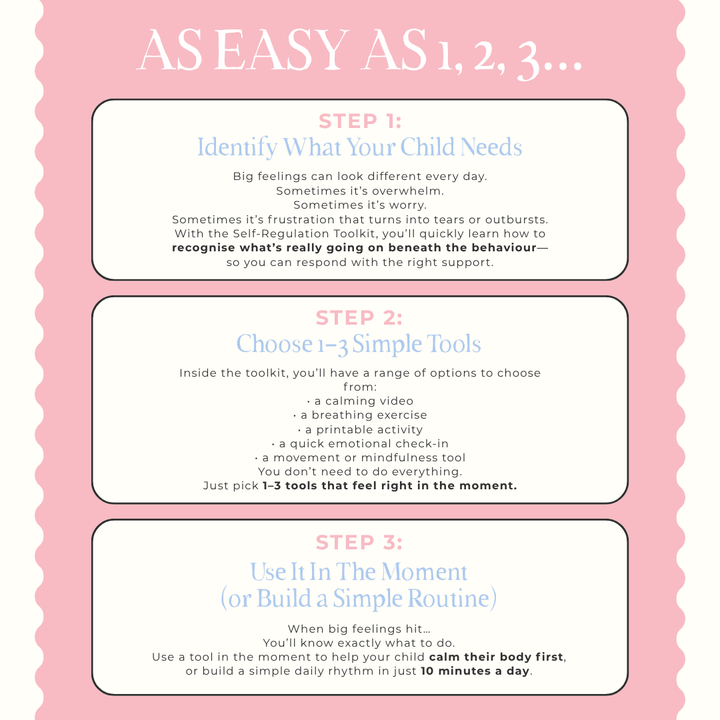 Self-Regulation Toolkit - Digital Program