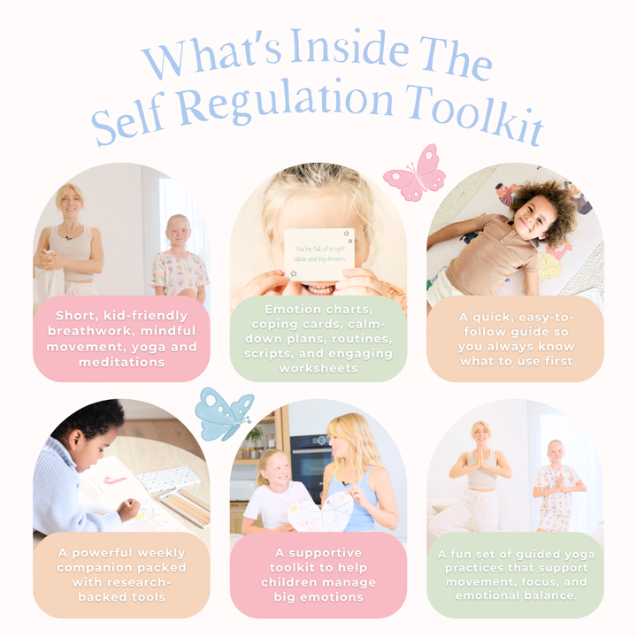 Self-Regulation Toolkit - Digital Program