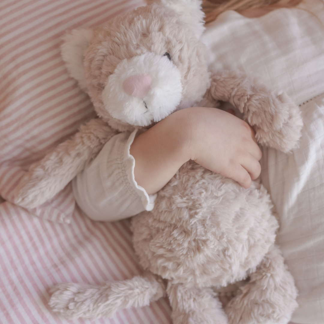 Pickles The Weighted Cat