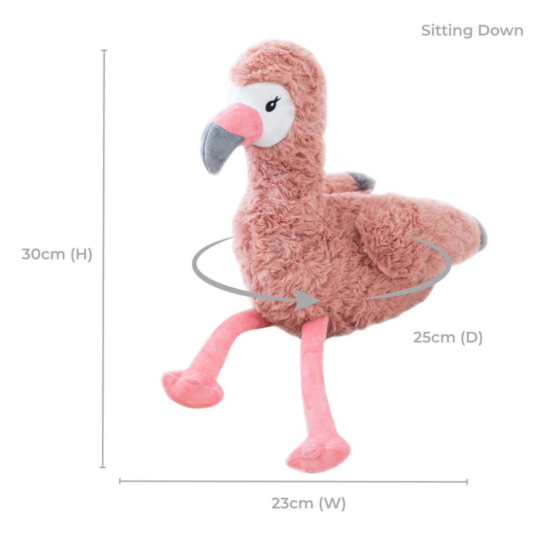 Francesca The Weighted Flamingo