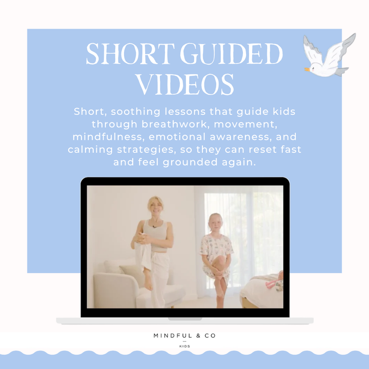 Self-Regulation Toolkit - Digital Program