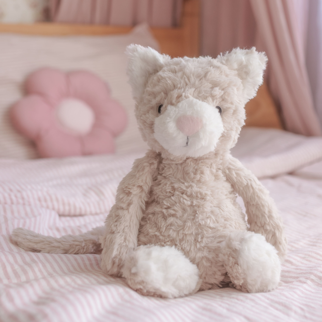 Pickles The Weighted Cat