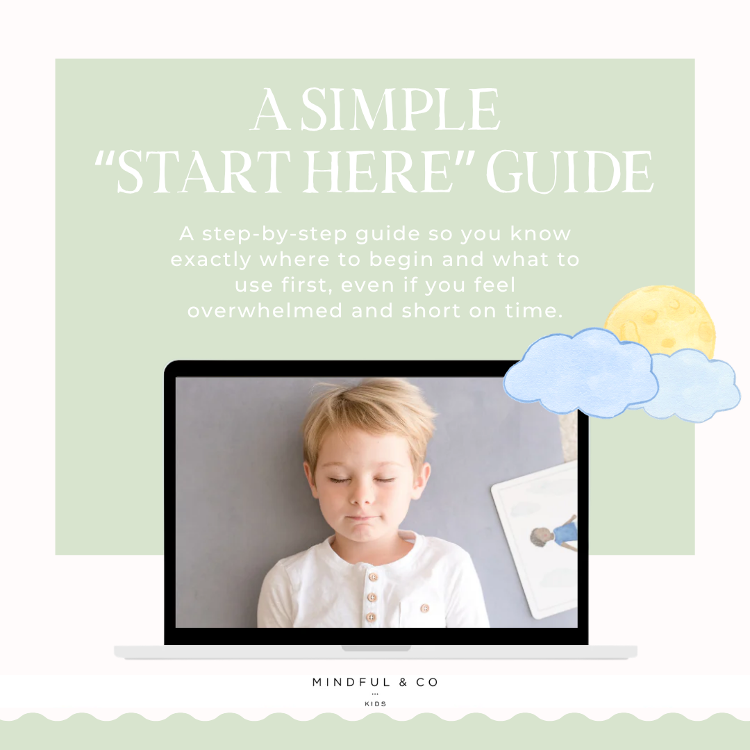 Self-Regulation Toolkit - Digital Program