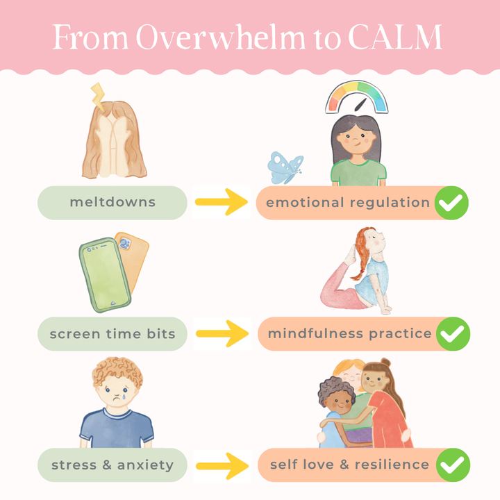 Self-Regulation Toolkit - Digital Program